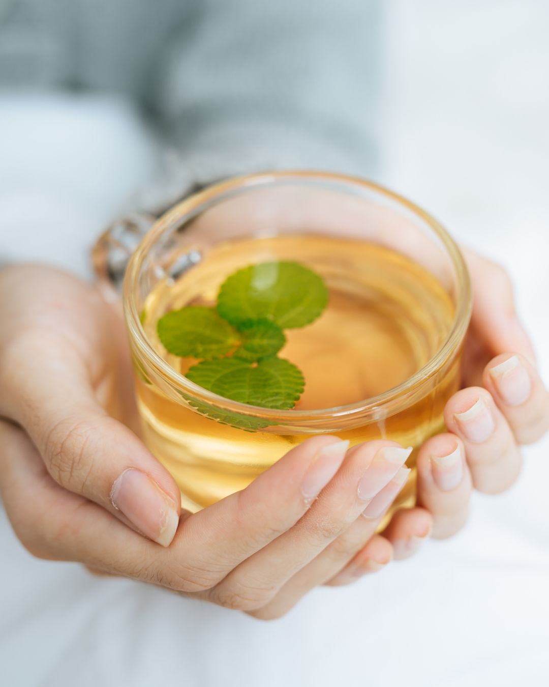 How Herbal Tea Fits into a Healthy Lifestyle