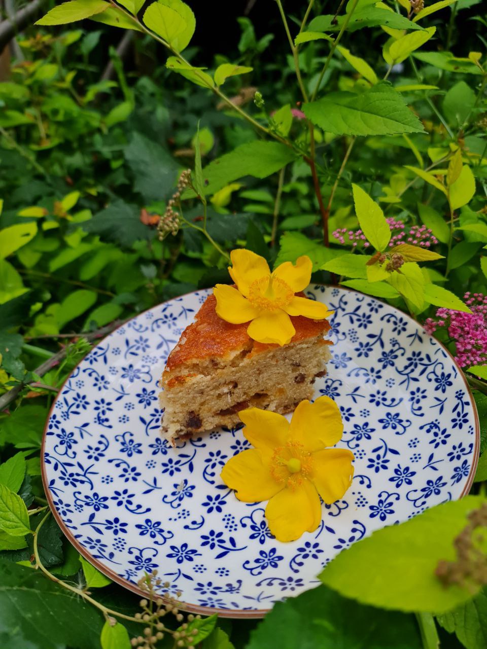 Raisin and Walnut Cake